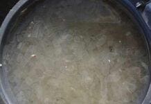 Genova, strane creature in mare, Arpal: è plancton gelatinoso Plancton gelatinoso mare Genova