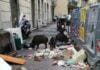 Genova, cinghiali a spasso ad Albaro e Sturla