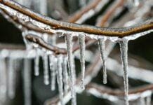 Genova, ghiaccio sulle strade a Struppa, Bavari e Fontanegli Gelicidio, ghiaccio, freddo,