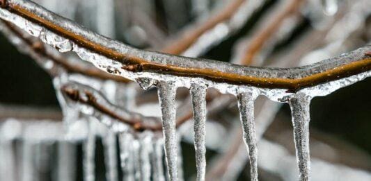 Freddo intenso in Liguria, ecco cosa cambia nelle prossime ore Gelicidio, ghiaccio, freddo,
