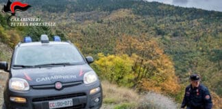 Liguria, scoperti due reati ambientali al giorno nel 2022 Carabinieri forestali Savona
