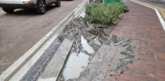 Genova, in via Cornigliano arriveranno le aiuole a vasca Cornigliano via aiuole