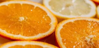 Agrumi di Liguria, il Pernambucco Pernambucco