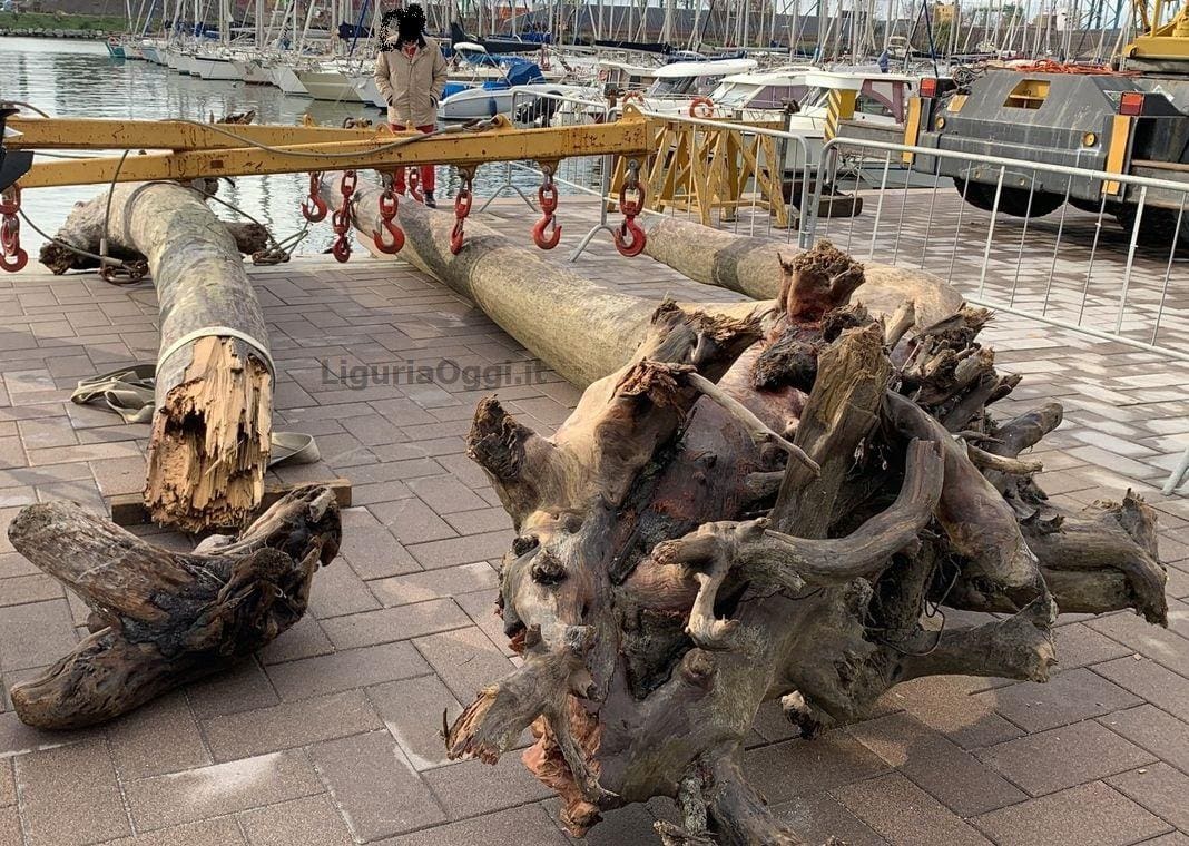 Pra' recupero tronco albero mare