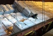Genova, nave inclinata nel porto, vigili del fuoco svuotano il carico Nave inclinata porto Genova
