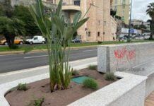 Genova, panchine di corso Italia già vandalizzate e depredate delle piante panchine nuove corso Italia Genova