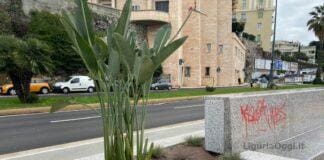 Genova, panchine di corso Italia già vandalizzate e depredate delle piante panchine nuove corso Italia Genova