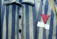 Genova, al Lagaccio la mostra sullo sterminio della comunità LGBT sterminio nazista omosessuali gay omocausto