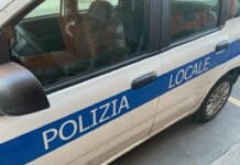 Genova, investe bambina di nove anni e scappa: caccia al pirata della strada Polizia locale auto