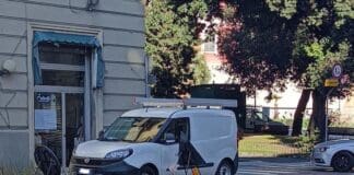 Cornigliano, anche il furgoncino Iren sulle aiuole a raso già danneggiate Cornigliano aiuole raso furgone Iren