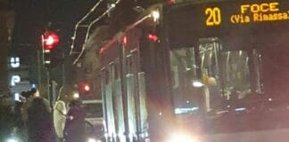 Genova, Autobus contro bicicletta in corso Buenos Aires, tragedia sfiorata Autobus travolge bicicletta, corso Buenos aires