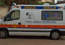 Genova, allarme veleno per cani tra Multedo e Sestri Ponente: padroni in allarme Croce Gialla ambulanza veterinaria Genova