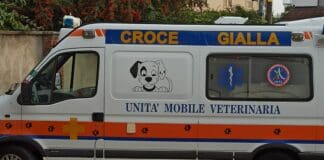 Genova, allarme veleno per cani al Righi: in corso i sopralluoghi Croce Gialla ambulanza veterinaria Genova