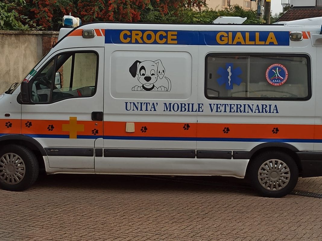 Croce Gialla ambulanza veterinaria Genova