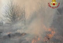 Incendi Liguria, ha sconfinato in Francia quello di Olivetta San Michele Incendio Campo Ligure 13 febbraio 2023