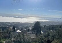 Genova, torna la caligo e la “nebbia con il sole” Caligo genova 12 marzo 2023