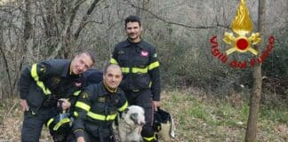 Fontanegli, cane cade in un dirupo, salvato dai Vigili del Fuoco Fontanegli cane caduto scarpata