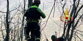 Chiavari, cade con il parapendio in un bosco, salvato dai vigili del fuoco Parapendio incidente Chiavari 4 marzo 2023