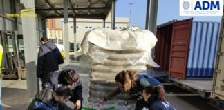 Genova, sequestrate in Porto 382 tonnellate di pellet a rischio tossicità pellet sequestro Genova