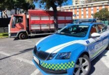 Genova, troppi animali sul camion, polizia stradale blocca il trasporto camion fermato polizia stradale