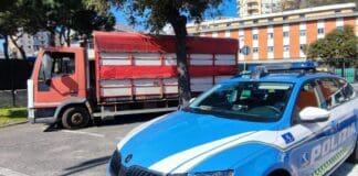 Genova, troppi animali sul camion, polizia stradale blocca il trasporto camion fermato polizia stradale
