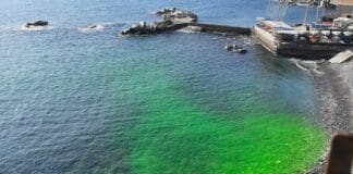 Genova, Mare verde a Quinto, come la fontana di De Ferrari Mare verde a Quinto
