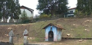 Torriglia, strage di alberi lungo le strade, è polemica sui social Torriglia taglio alberi