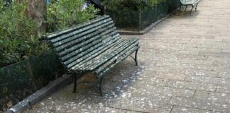 Genova, panchine di via Corsica coperte di guano di piccione panchine Carignano via corsica piccioni Genova