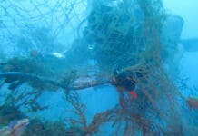 Sestri Levante, Giornata dei Fondali puliti domenica 14 luglio subacqueo rete pesca