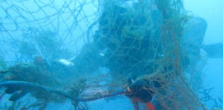 Sestri Levante, rimosse reti fantasma dal mare di Punta Manara subacqueo rete pesca