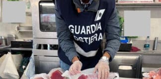 Genova, pescatore dilettante vende pesce a ristoranti e pescherie, denunciato Guardia Costiera controlli pescherie