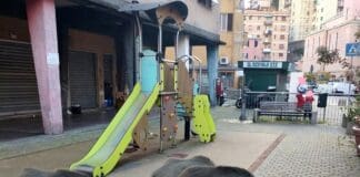 Genova, ancora cinghiali a spasso per strada cinghiali a Quezzi