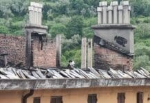 Genova, incendio di via Piacenza, ora il Comune chiede di pagare gli aiuti gatto tetto palazzo incendio via Piacenza