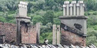 Genova, incendio in via Piacenza, spunta un gatto dalle macerie del tetto gatto tetto palazzo incendio via Piacenza