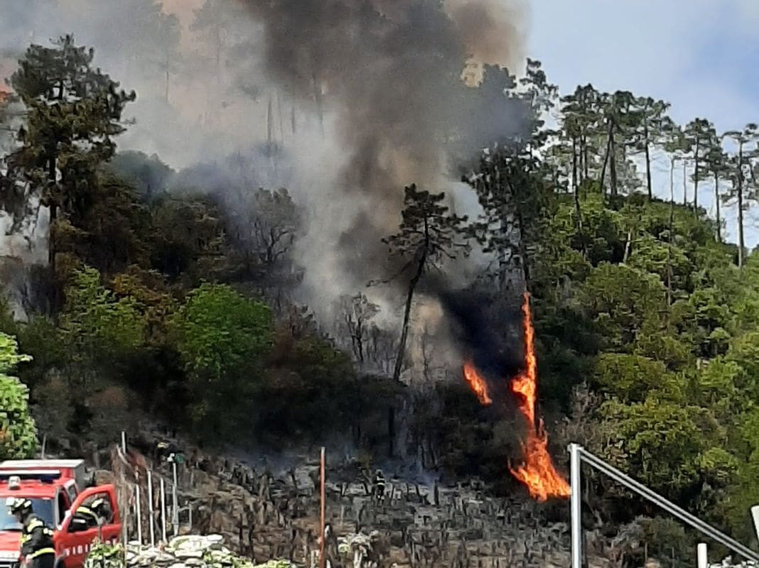 incendio bosco Loano 13 maggio 2023