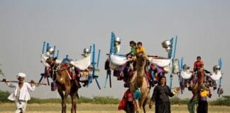 Genova, all’Acquario l’incontro sugli ultimi pastori nomadi dell’India Pastori nomadi Rabari Vagadiya India