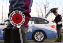 Autostrade, cane vaga all’imbocco del casello: salvato dagli agenti Polizia stradale