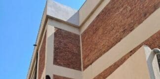 Genova, sciame di api sulla facciata della Chiesa di Sant’Ambrogio a Cornigliano sciame api chiesa Sant'Ambrogio Cornigliano