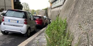 Genova, marciapiedi ingombri di erbacce a Marassi viale Bracelli erbacce Marassi