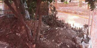 Genova, ritrovamenti archeologici nel cantiere di Corvetto, lavori ancora fermi cantiere Corvetto