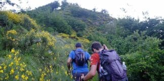 Rigantoca, la marcia non competitiva torna domenica 11 giugno Rigantoca marcia