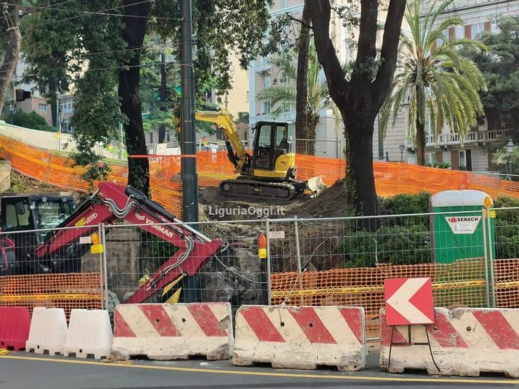 alberi cantiere corvetto Genova