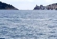Portovenere, capriolo in mare, salvato con la barca Capriolo in mare Portovenere 4 giugno 2023