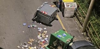 Genova, cinghiali ribaltano bidoni e danneggiano auto a San Fruttuoso cinghiali bidoni ribaltati via del Manzasco Genova