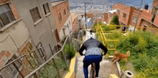 Genova, in bicicletta giù per le scalinate a Marassi, sport o azzardo? downhill