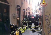 Genova, incendio in via di Ravecca, trovato morto il gatto di casa incendio via Ravecca Genova 4 giugno 2023