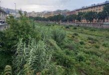 Difesa del Suolo, dalla Regione Liguria 1,8 milioni per pulizia corsi d’acqua Bisagno piante Genova