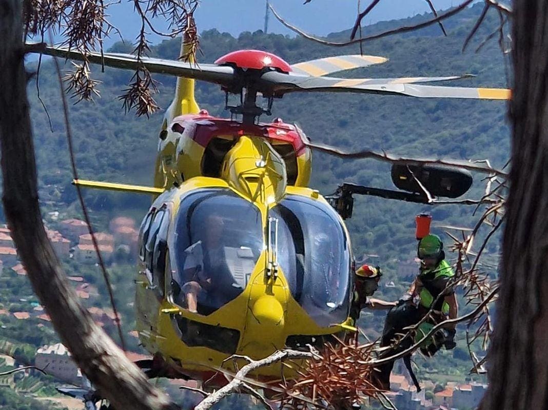 elicottero Grifo