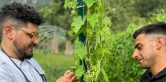 Genova, chef stellati e Ristoranti sperimentano orti dedicati e sostenibili Samuele Di Murro, chef stellato