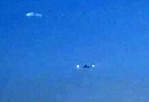 Ufo nei cieli di Genova o gabbiano in volo? Curiosità e polemiche sui social Ufo a Genova